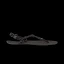 Genesis Men's